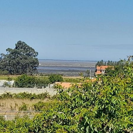 Casa Afonso - Passadicos Do Paco Hotell Aveiro Eksteriør bilde