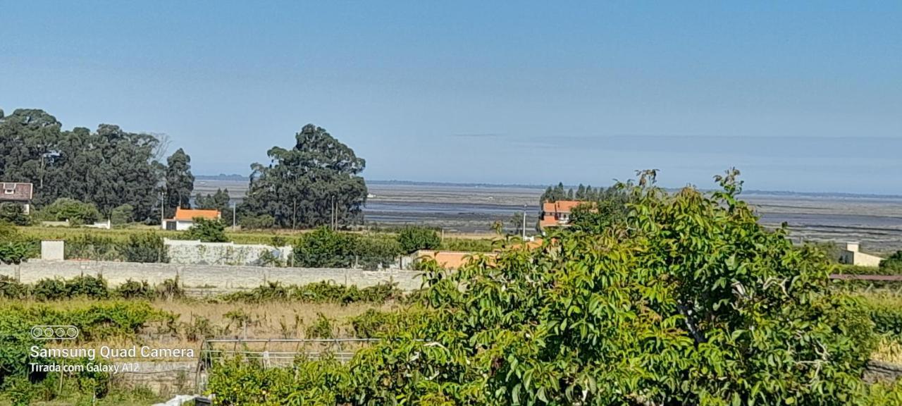 Casa Afonso - Passadicos Do Paco Hotell Aveiro Eksteriør bilde